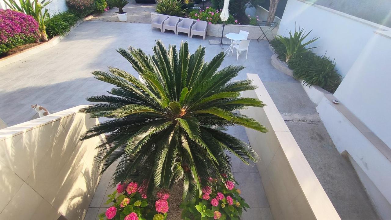 Seagull Apartments - Front And Sea View & Airport Bari Ngoại thất bức ảnh