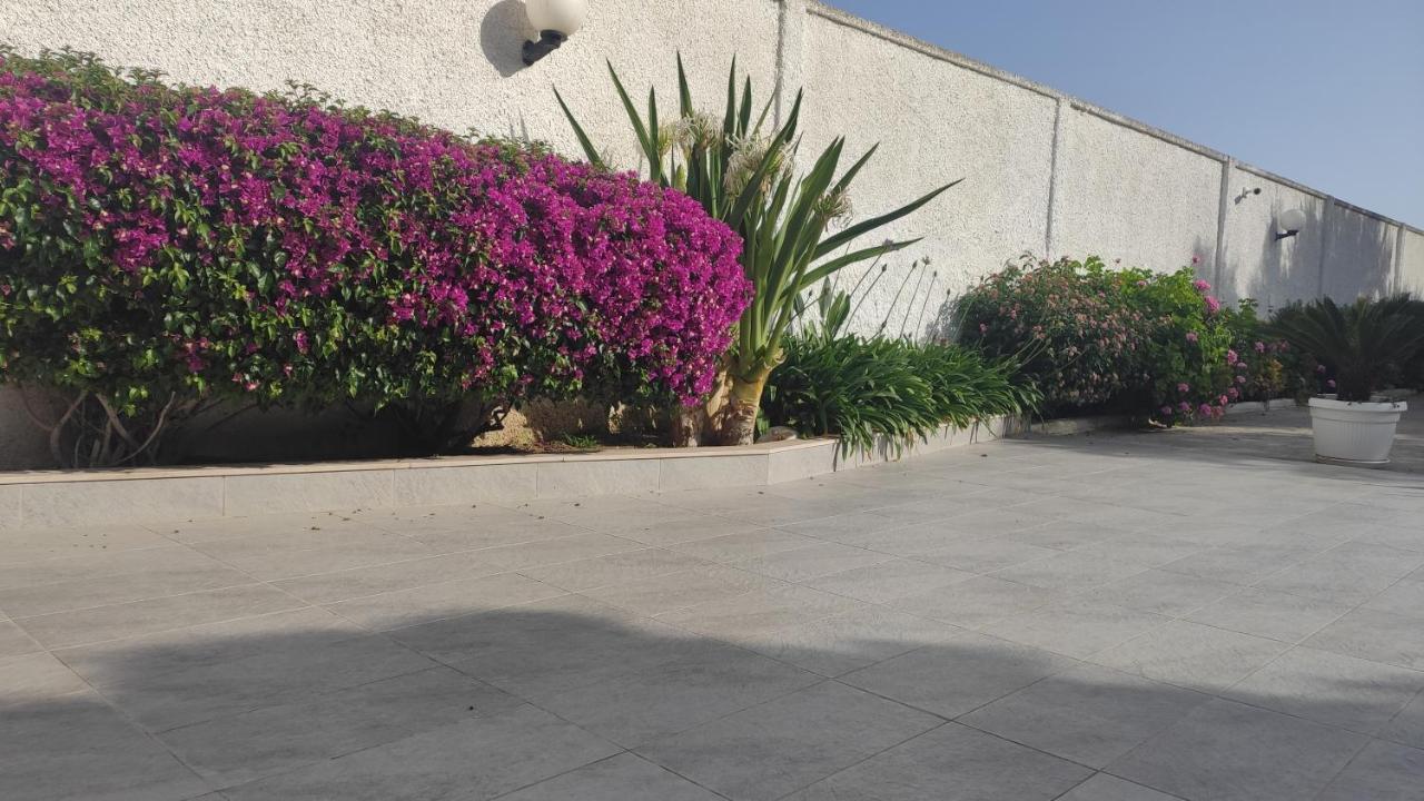 Seagull Apartments - Front And Sea View & Airport Bari Ngoại thất bức ảnh