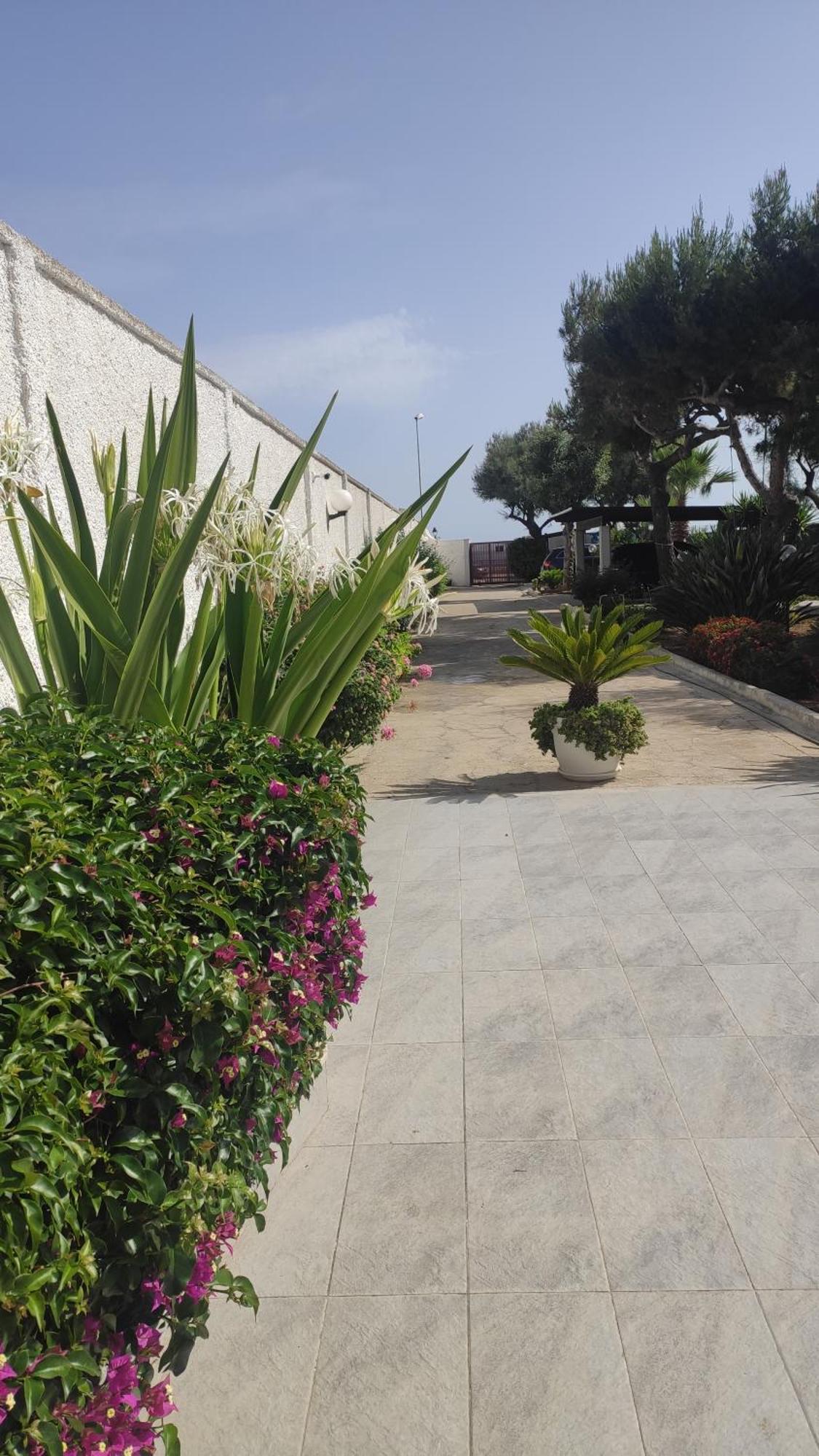 Seagull Apartments - Front And Sea View & Airport Bari Ngoại thất bức ảnh